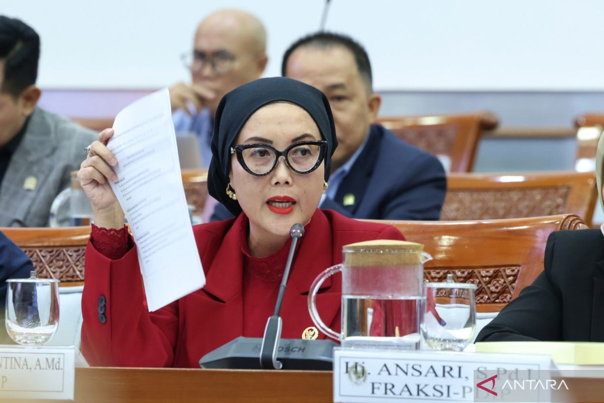 House member urges formation of special team to evaluate decile data