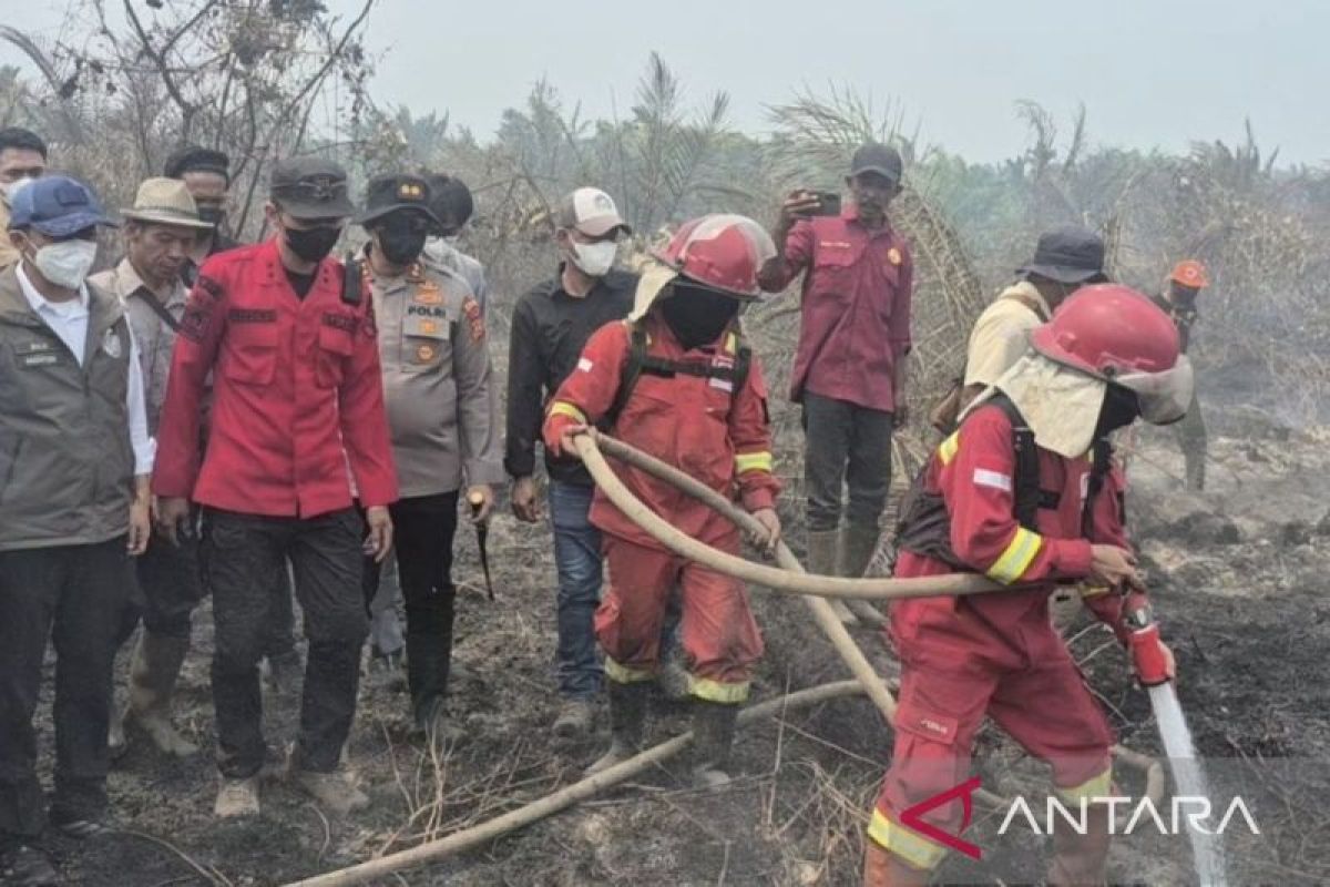 Indonesia adds hydrant wells to prevent recurring peatland fires