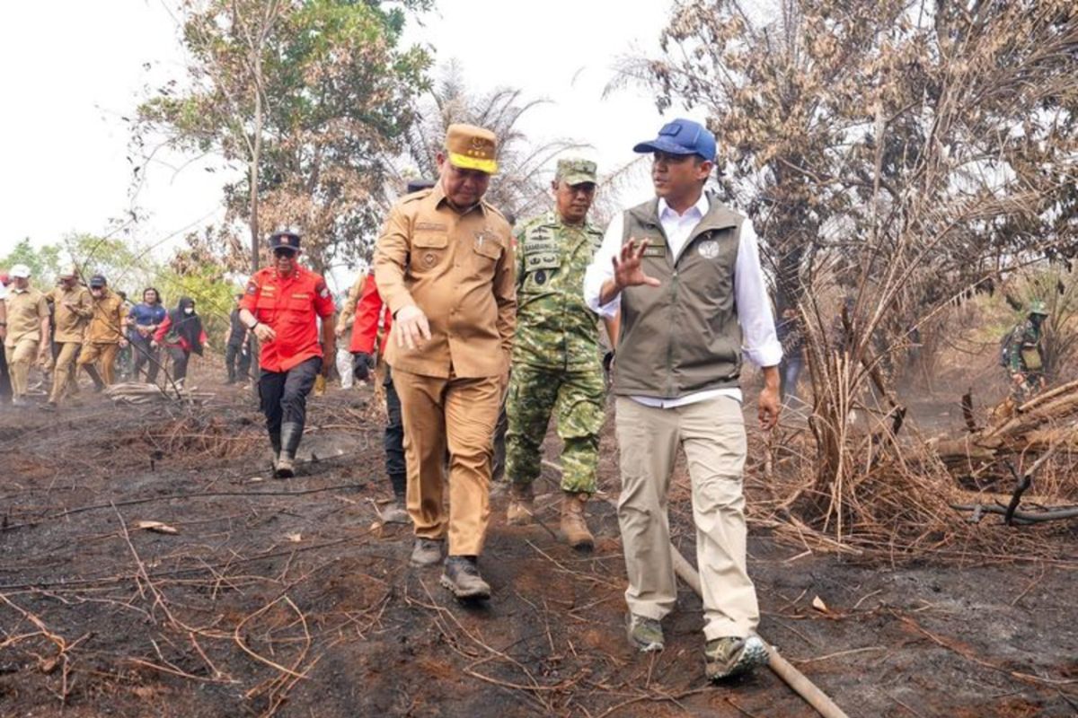 Forestry Minister stresses impartial law enforcement on forest and land fires