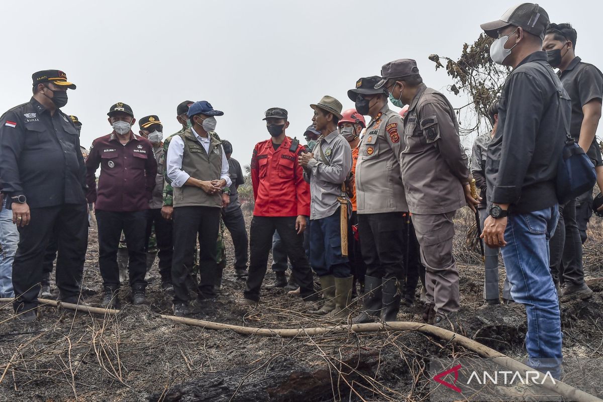 Forestry Minister assures government accelerating forest fire handling