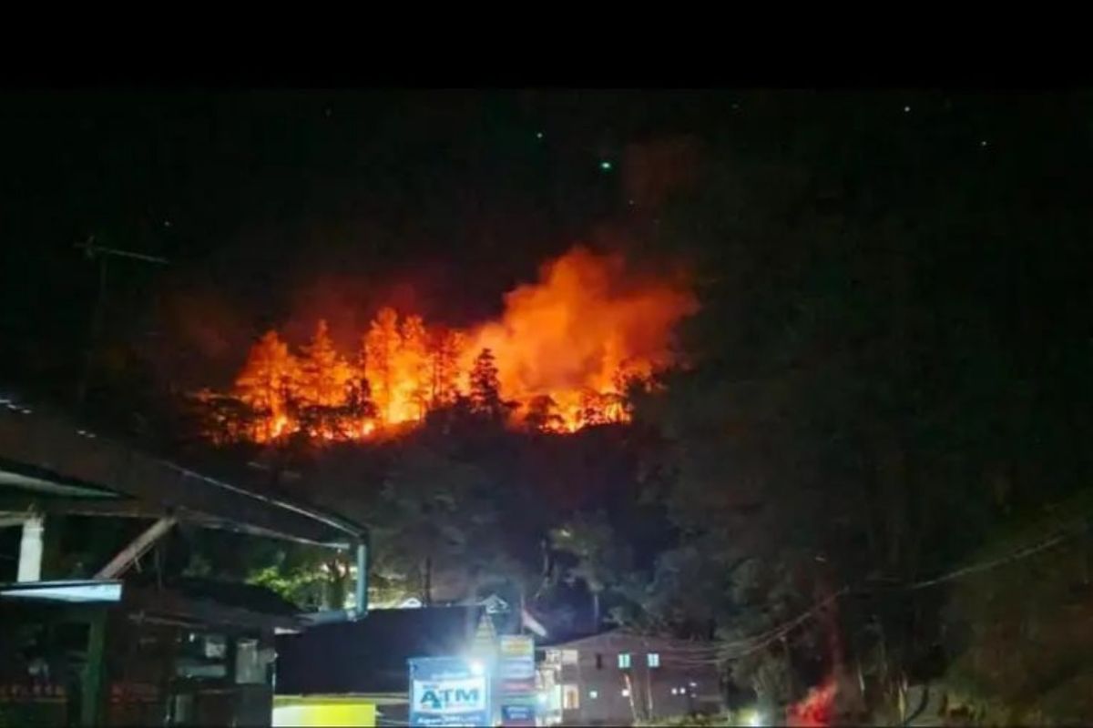 South Sulawesi BPBD records 112 forest and land fires throughout 2026