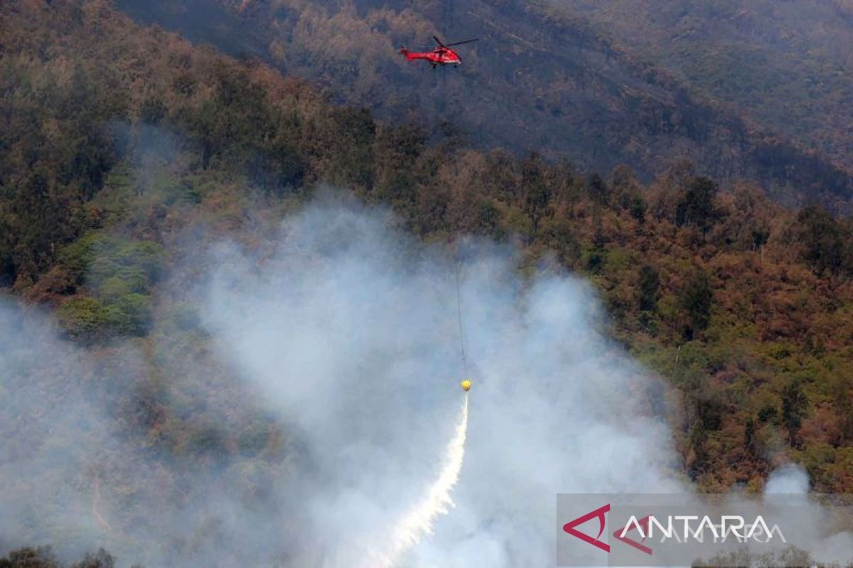 East Java BPBD intensifies water bombing to tackle Mount Arjuno forest fires