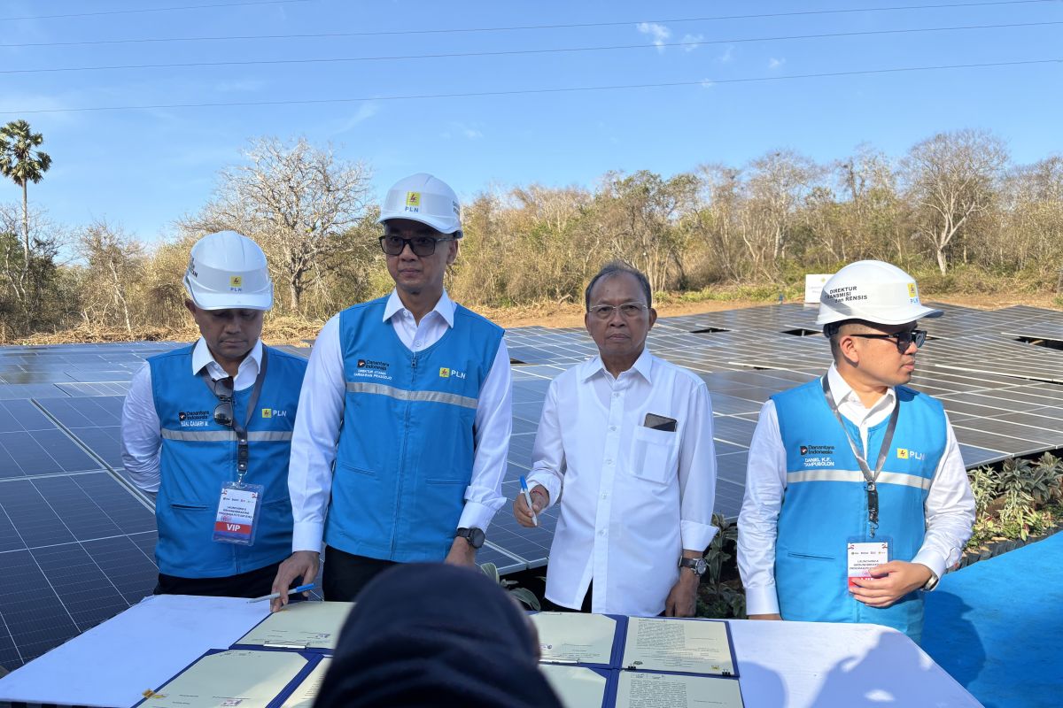 PLN optimises Bali solar power plants to reduce dependence on imported fuel