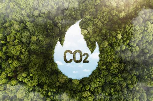 Atmospheric CO2 Levels Rise, Scientists Find Strange Changes in Human Blood