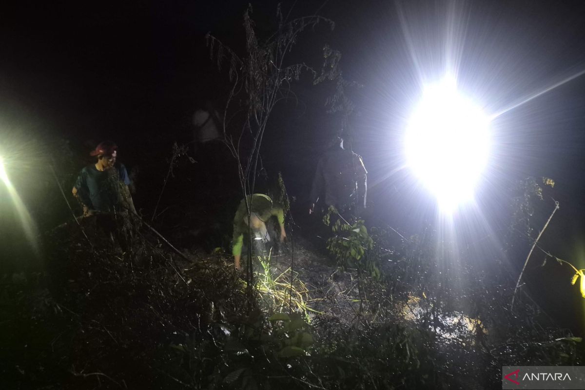 Fire-conscious communities in Jambi unite to extinguish blaze and prevent spread