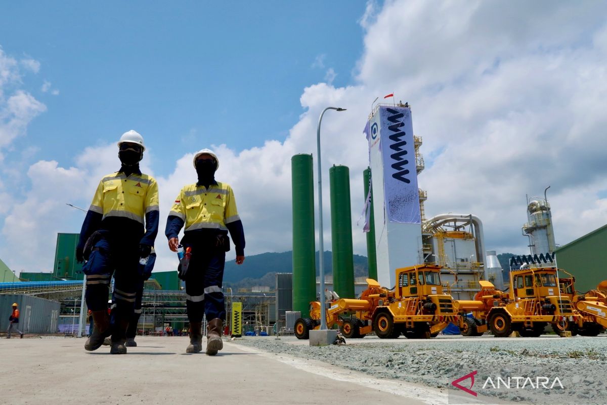 Analyst: Mining sector attracts investors through value-added products