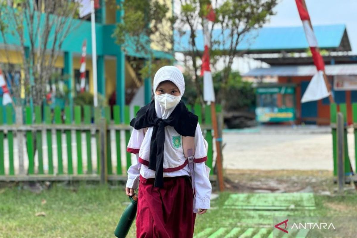 Primary, secondary, tertiary steps to prevent health risks from forest fire haze