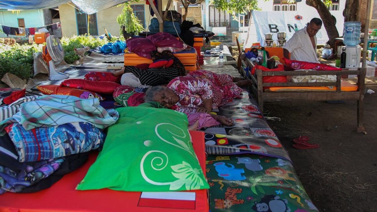 East Manggarai Deputy Regent Denies BNPB Pressured Sub-district Head over Earthquake Aid