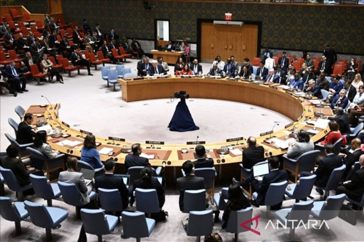 UN Secretary-General says Security Council reform inevitable