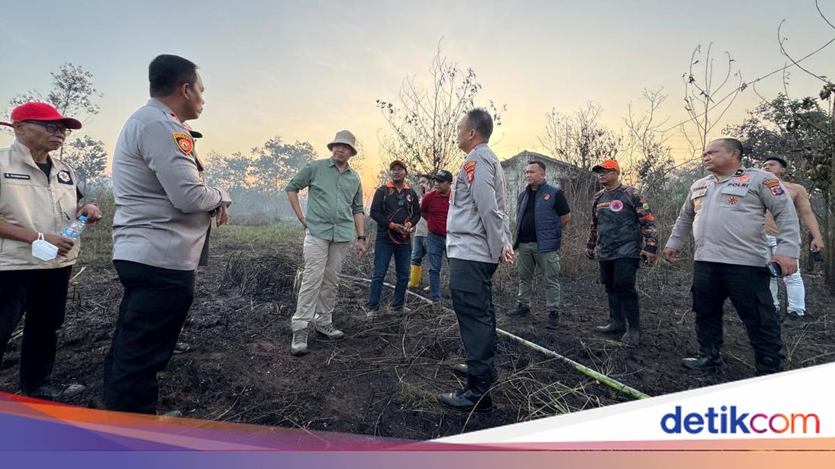 Forest and Land Fires Scorch 7 Hectares in Samarinda, Possible Arson Investigated