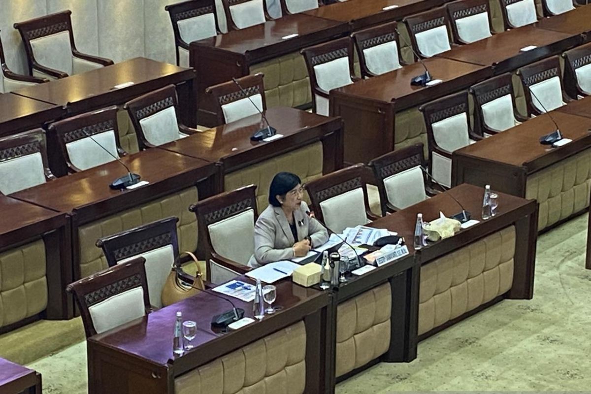 Destry wants BI to remain relevant in responding to challenges during DPR test