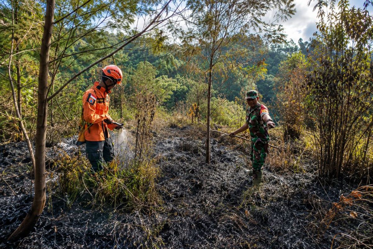 BPBD Lumajang urges residents to remain vigilant for new hotspots after Ranupani forest fire