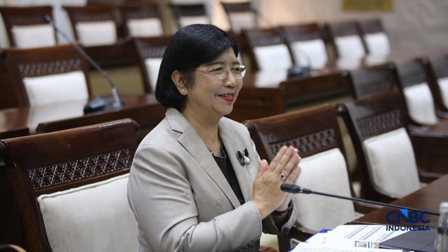 Destry Reveals Foreign Exchange Policy Plans in DPR, Mentions Underinvoicing