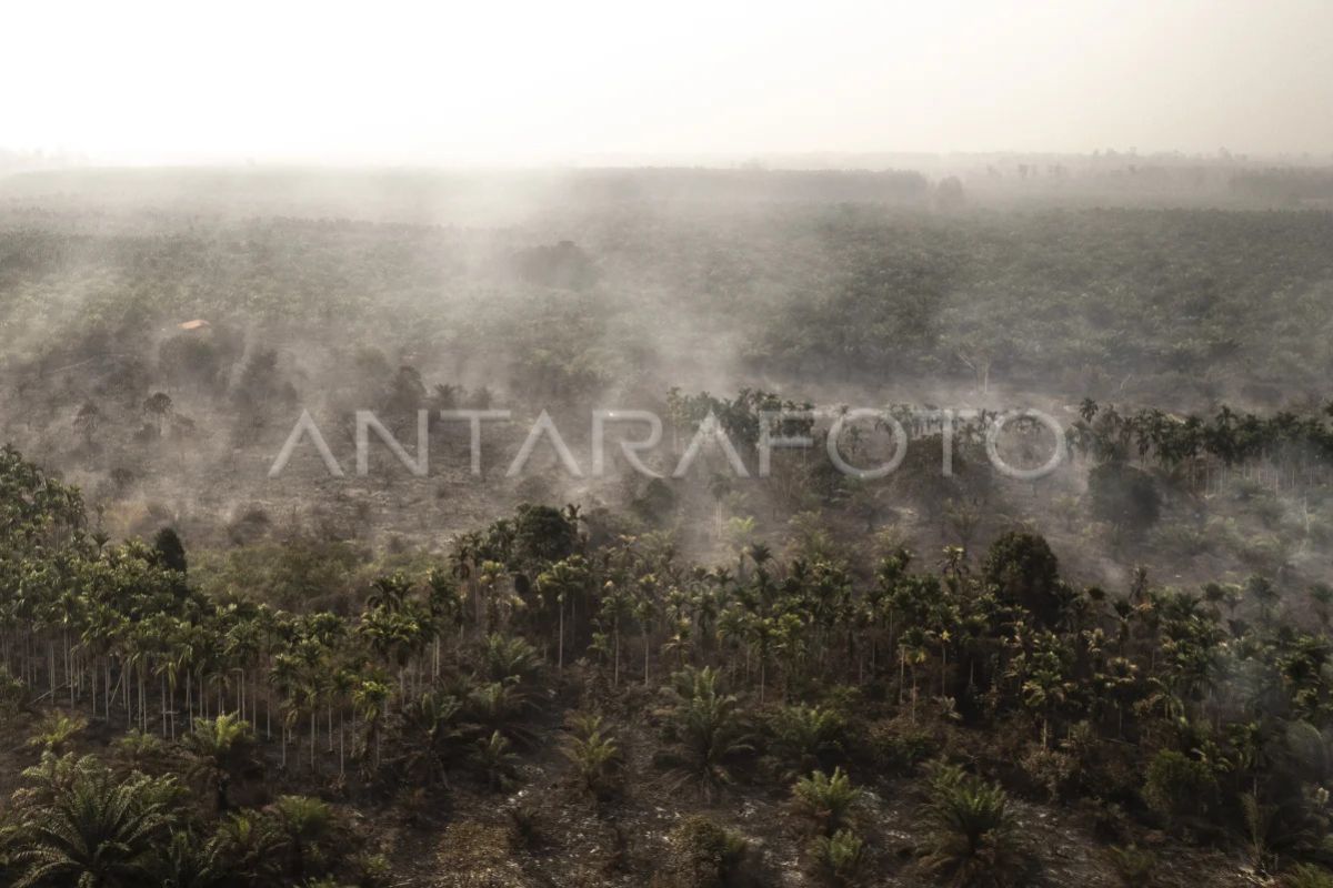 Environment Ministry announces subregional mitigation measures for forest fires