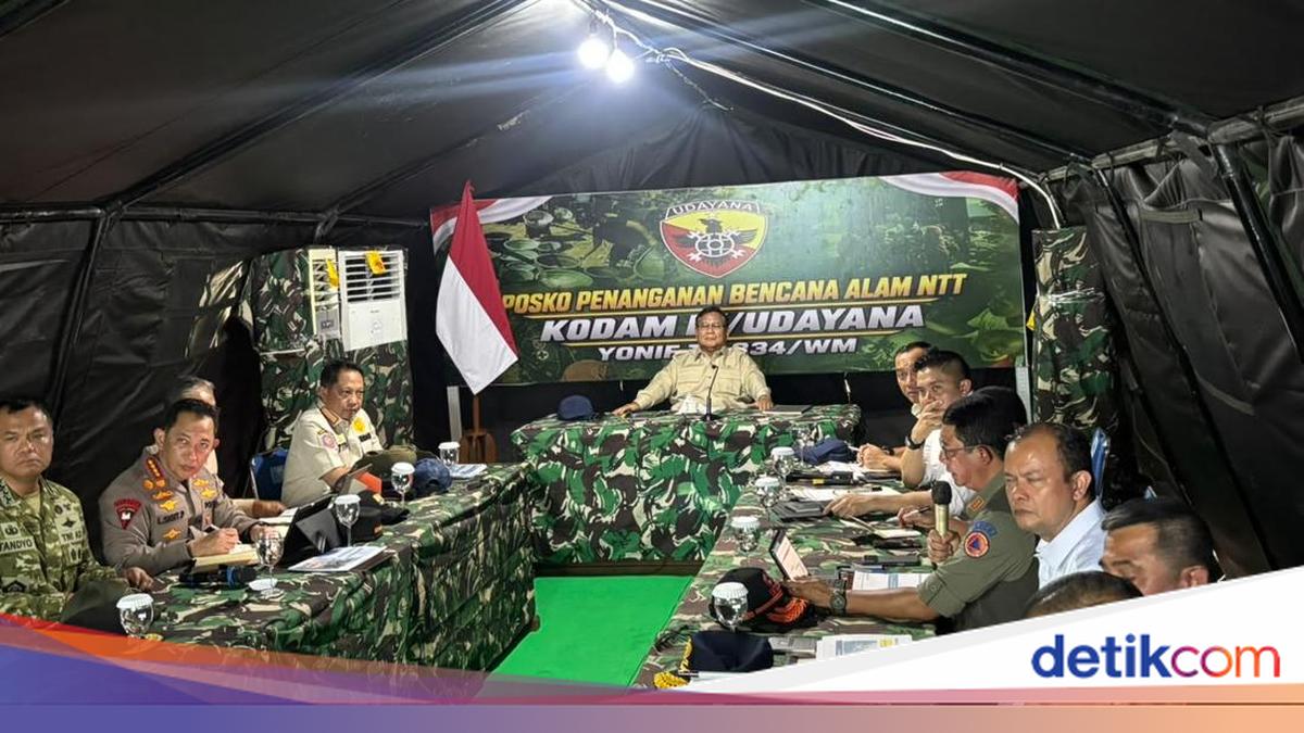 BNPB Chief Reveals Many NTT Residents Displaced Due to Fear of Aftershocks
