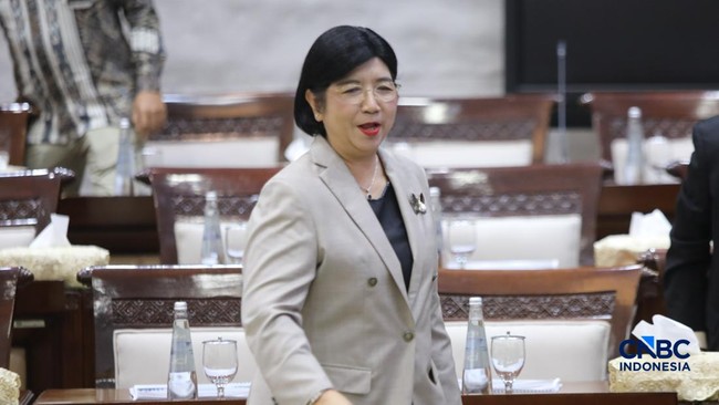Before the DPR, Destry Unveils '3I and 1S' Formula if Elected to Lead BI