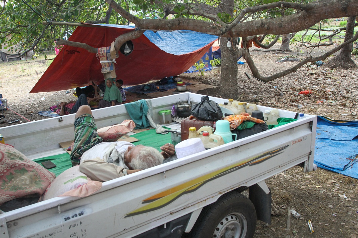 ISPA and Rabies Cases Surge Following NTT Earthquake