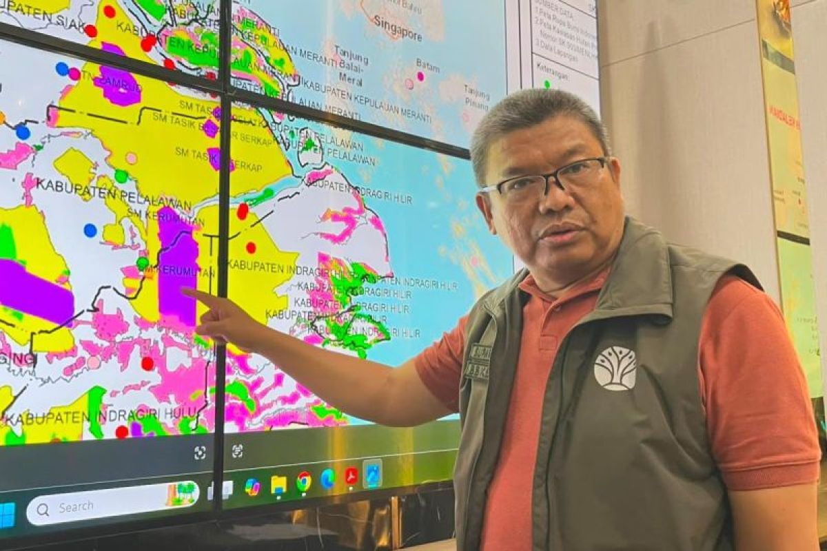 Riau BBKSDA on alert for forest fires in Sumatran tiger habitat