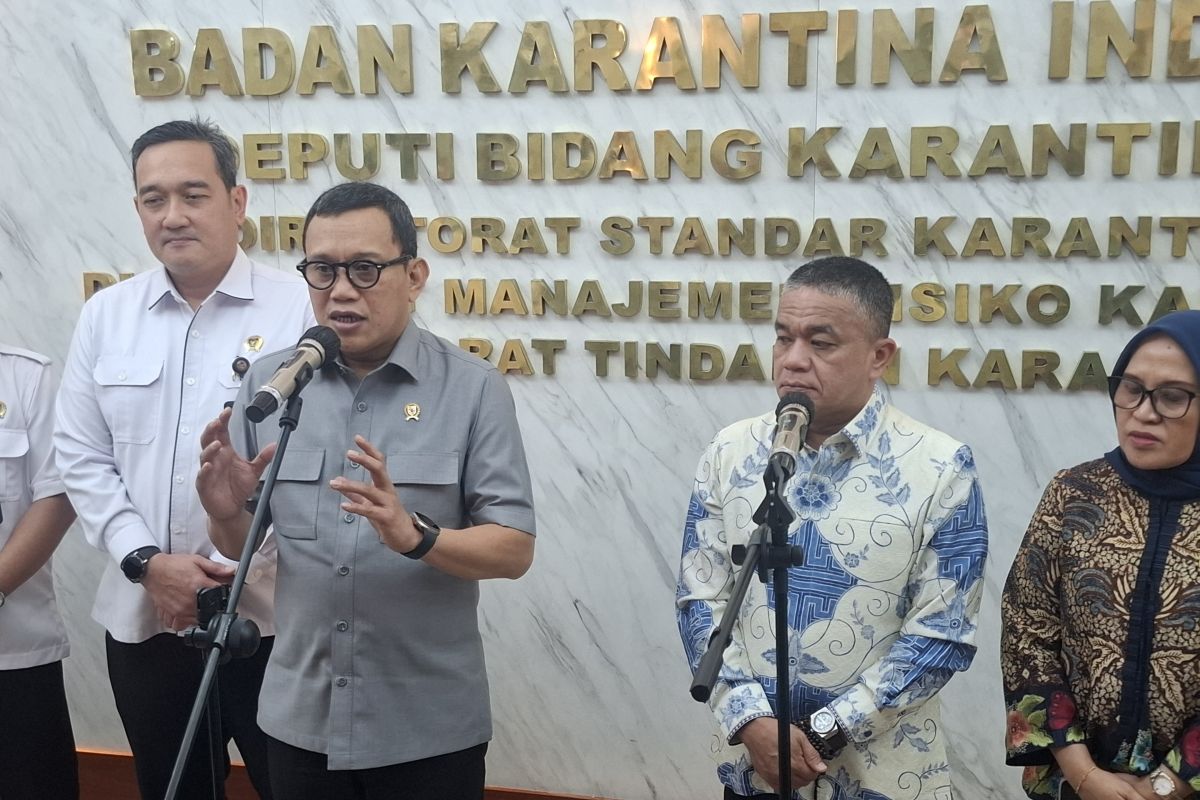 Barantin ready to help find export markets for Palu fried shallots