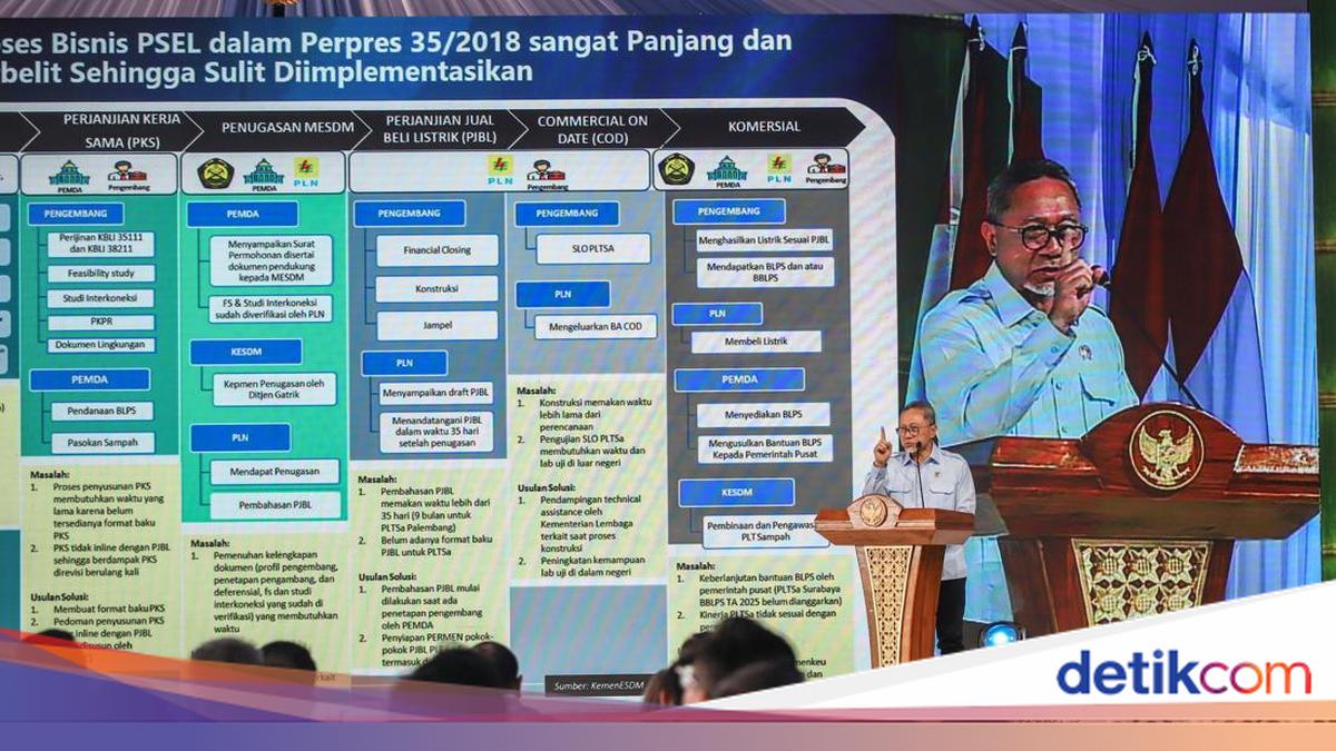 Zulhas Reveals Why PSEL Projects Are in Demand: Carbon Trading Potential