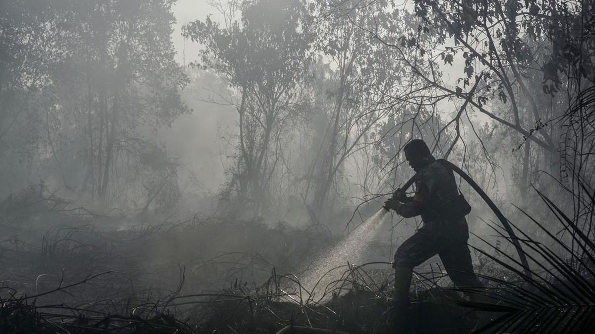 West Java BPBD Records 132 Forest and Land Fires in August 2026, Sumedang Highest