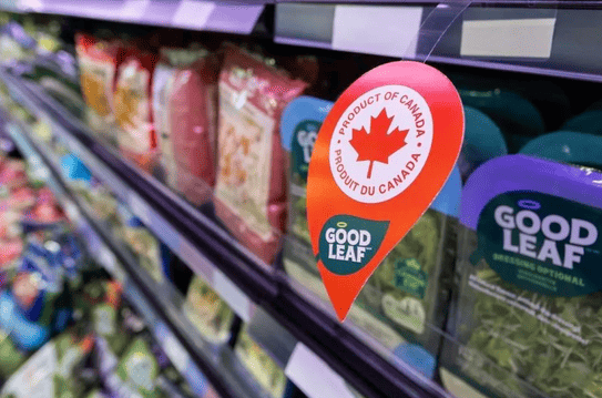 Canada-US Relations Heat Up Before Ottawa Finally Retaliates with Tariffs