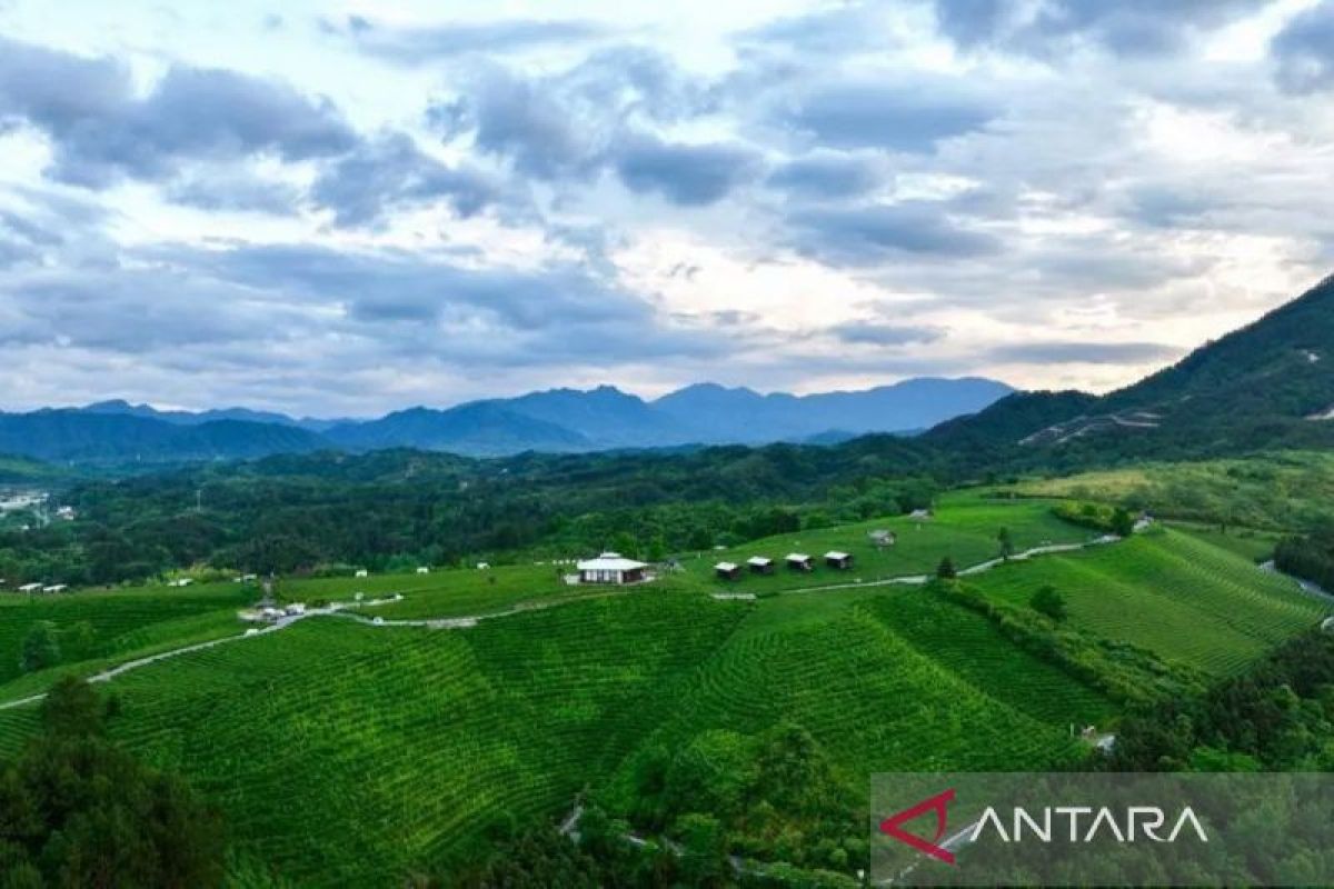 China reports stable strengthening of poverty alleviation results