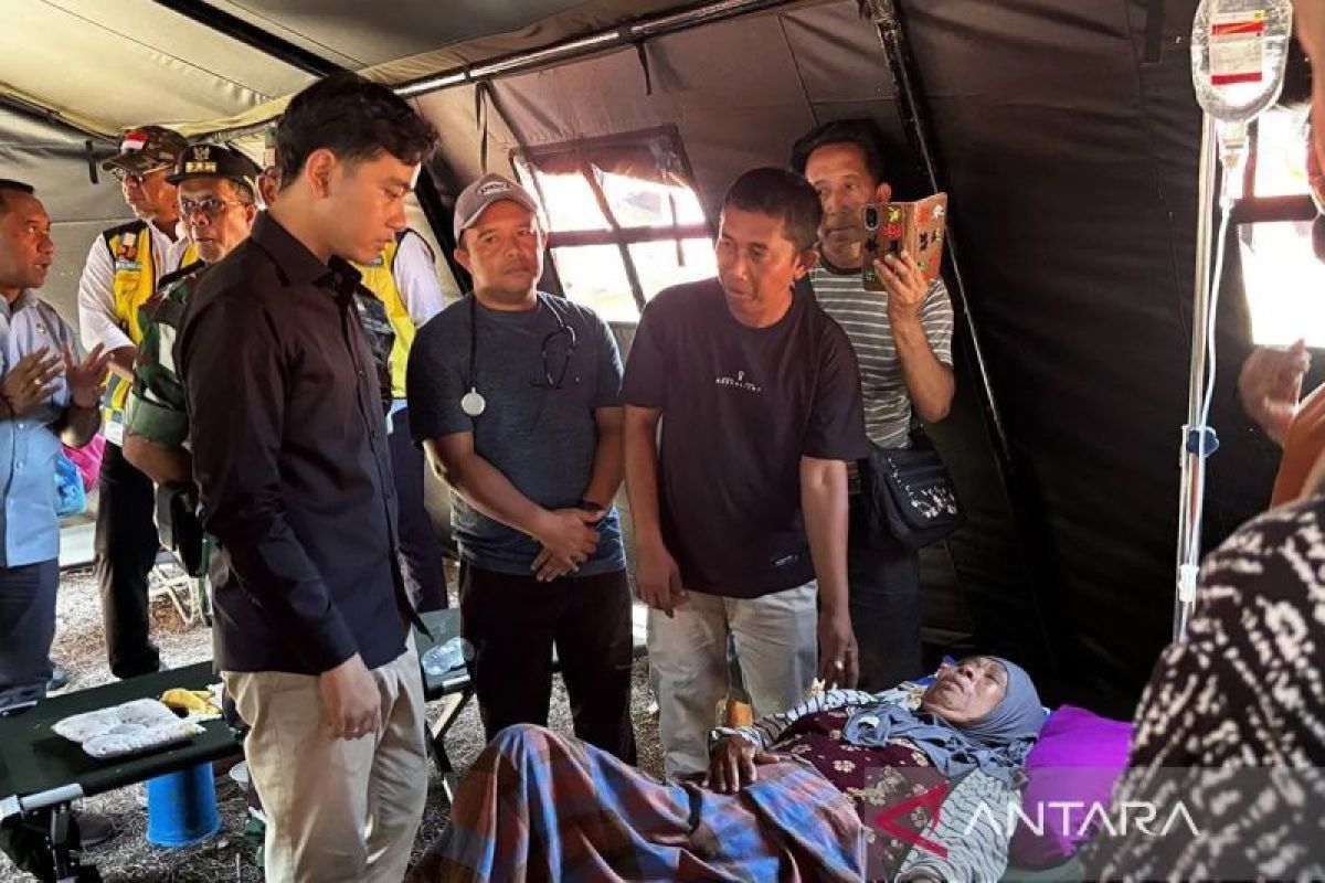 Observer: Government presence in NTT accelerates earthquake victim handling