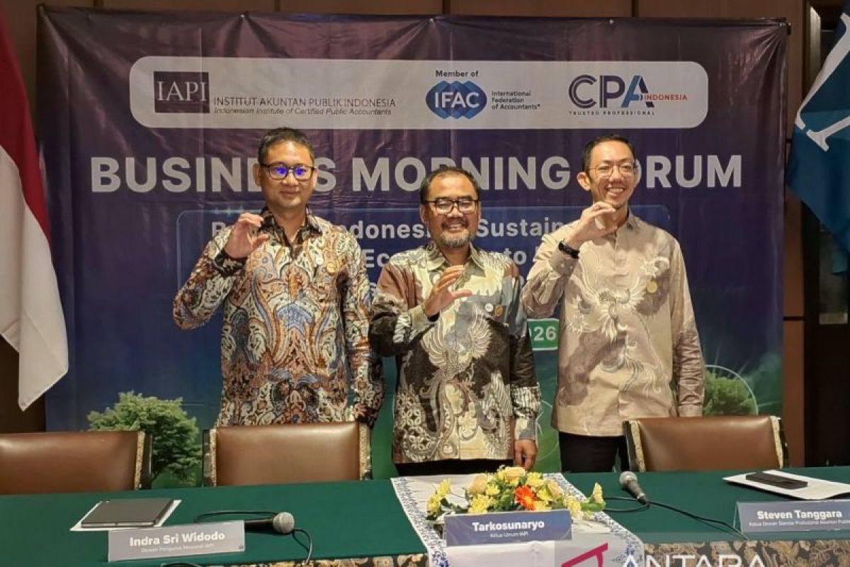 IAPI proposes single standard as reference for sustainability assurance
