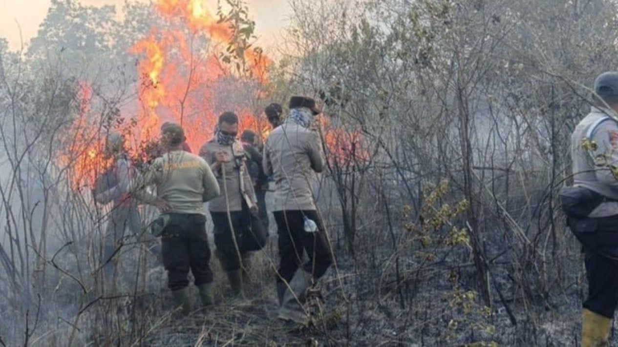 Way Kambas Forest Fires Spread, Water Bombing Helicopters and Thermal Drones Deployed