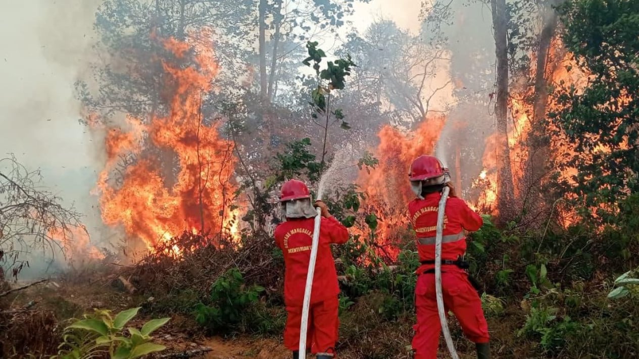 Cross-Sector Synergy: Government Combines Forces to Control Forest and Land Fires