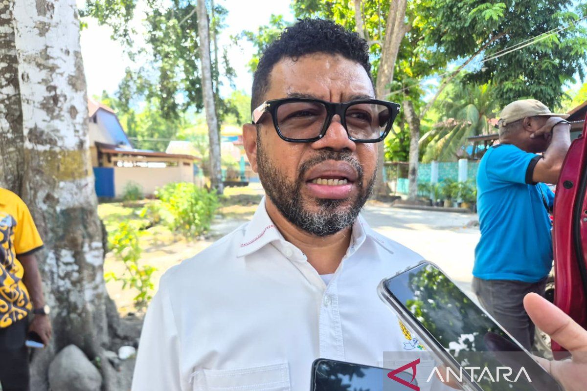 DPD RI: DTSEN accuracy key to targeting PIP in West Papua