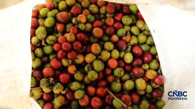 Indonesia's Farmland Holds Treasure Trove: 5 Commodities in Global Demand