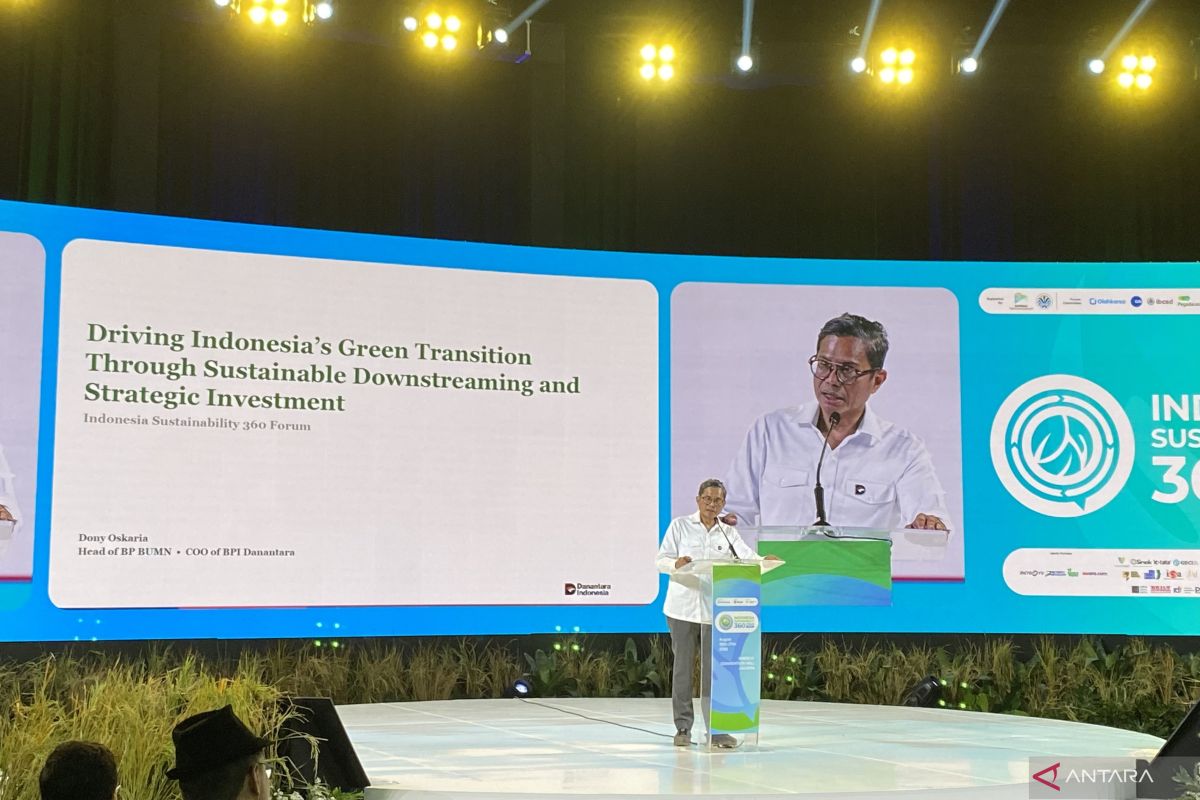 Danantara: 100 GW solar power development requires Rp1,130 trillion investment