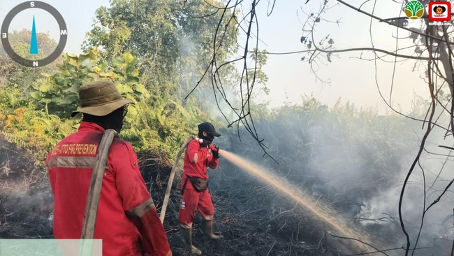 Schools Closed Due to Forest Fire Haze, Free Nutritious Meals Programme Still Running?