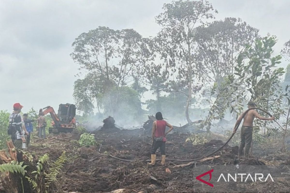 Jambi firefighters use firebreaks to contain peatland blaze