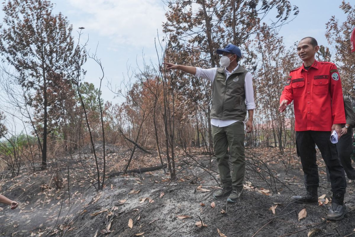 Forestry Minister optimises weather modification in areas with rain cloud seeds