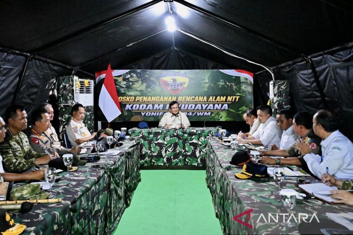 Drawing on Palue experience, Prabowo asks BRIN to build desalination technology