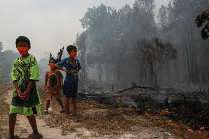 Haze from Forest Fires Poses Danger, Lung Specialist Warns Vulnerable Groups at Highest Risk