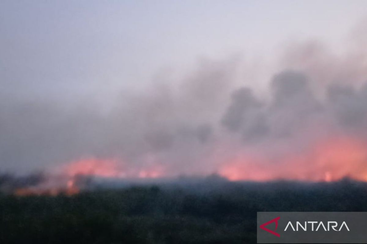 Officers prepare firefighting strategy in TNBS area