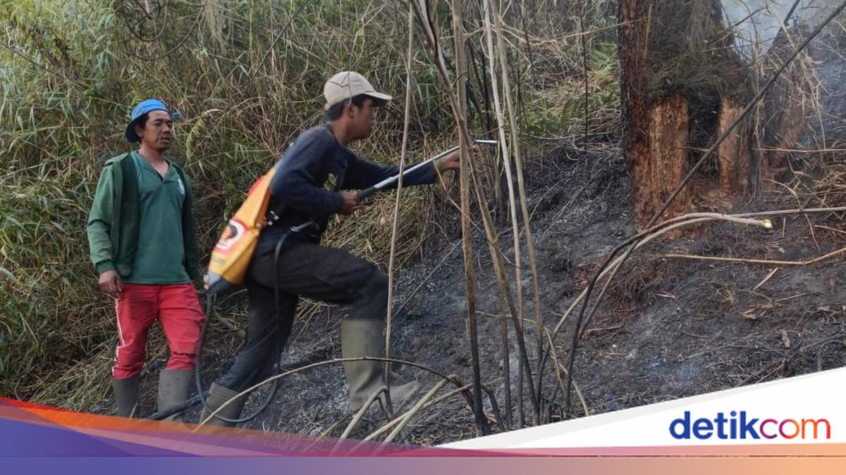 Forest Fire at Ranu Kembang, Mount Semeru Climbing Route Fully Closed