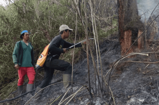 Fire in Ranu Kembang Block, Mount Semeru Climbing Route Fully Closed