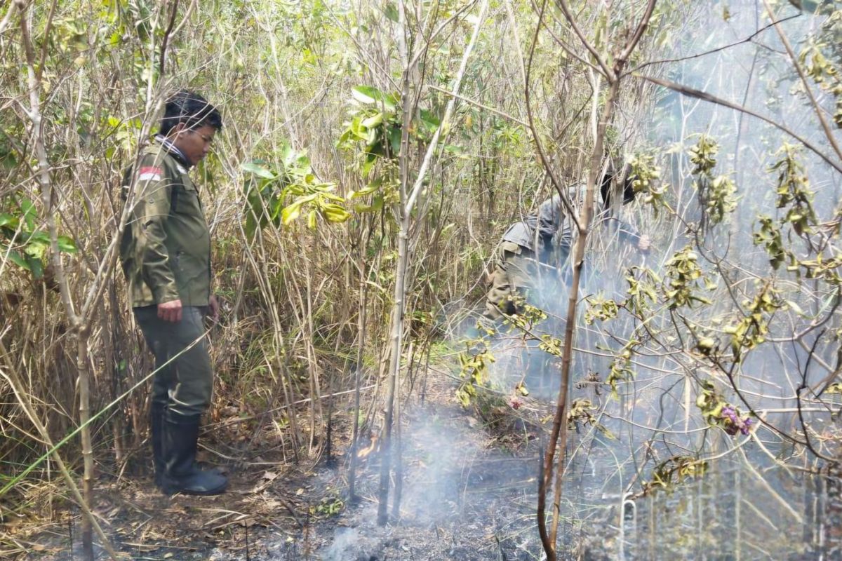 Lampung BPBD: Weather Modification Operation from 26-30 August to tackle forest fires and drought