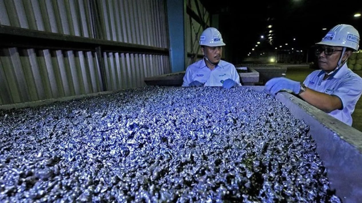 DEN Reveals Valuation of Indonesia's Nickel-Cobalt Reserves Reaches US$800 Billion