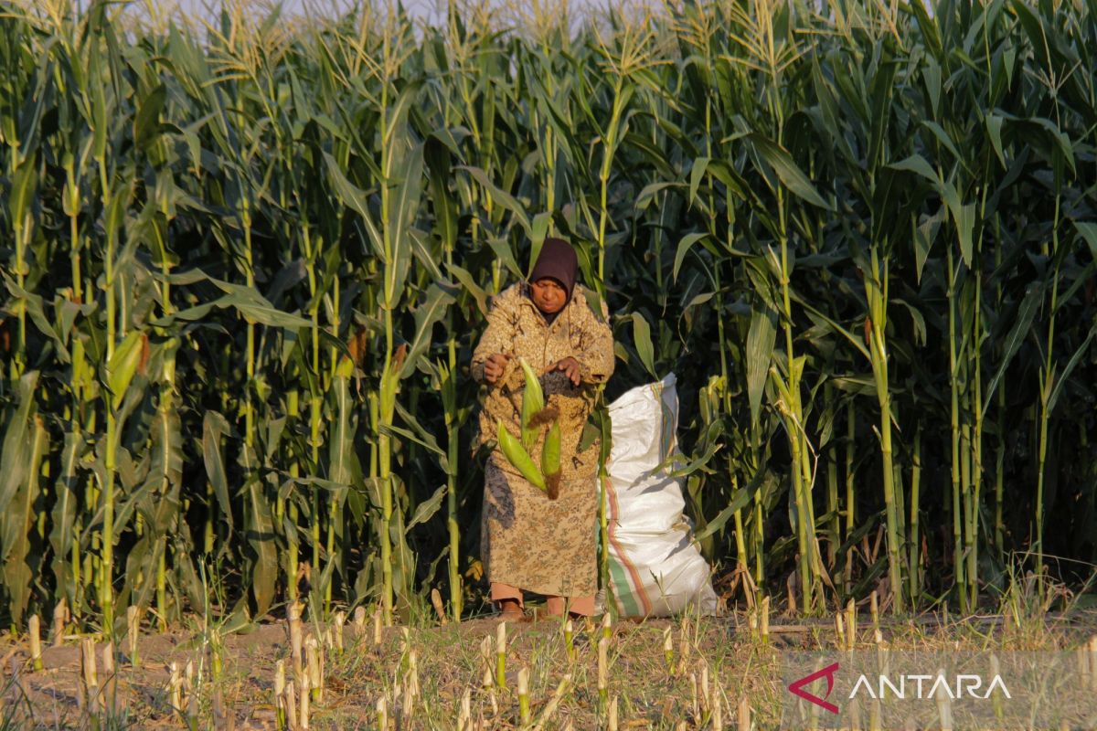 Expert says farmers must adapt to climate change