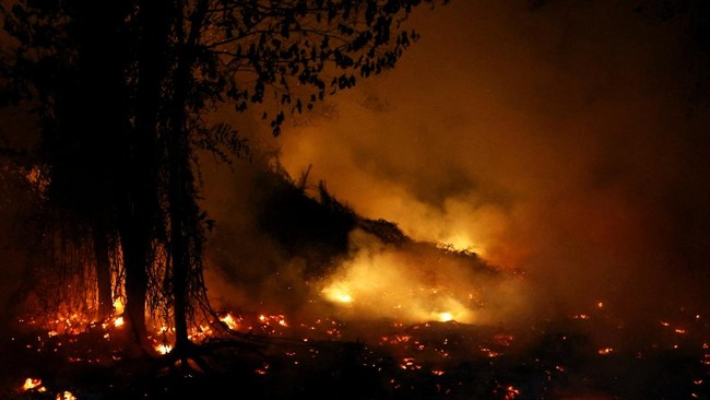 When the Ecological Crisis Limits Freedom