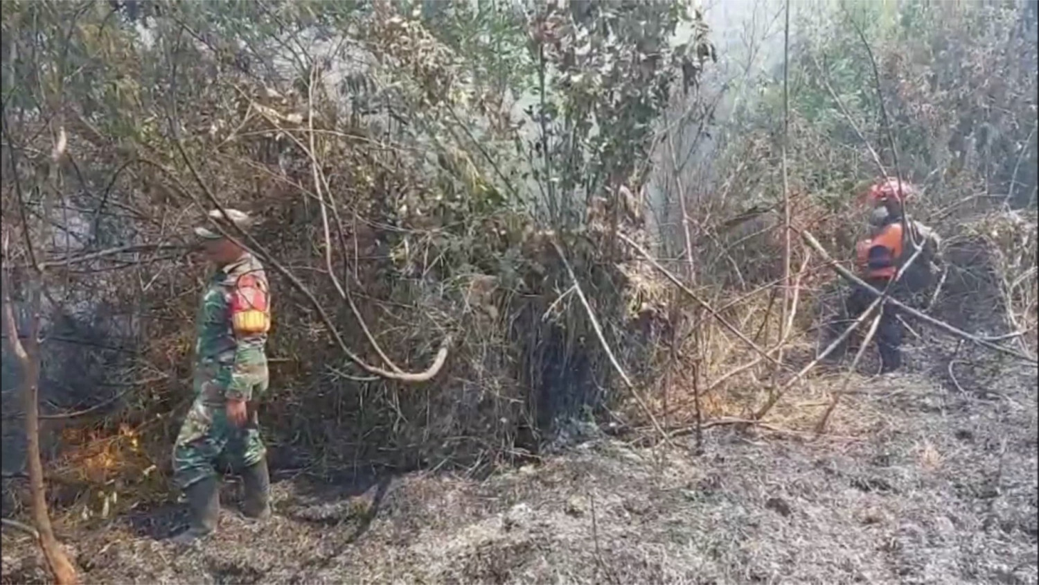 Forest fire on Mount Semeru continues to spread