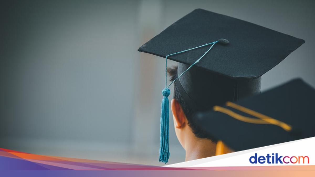 Why University Graduates Also Struggle to Find Work