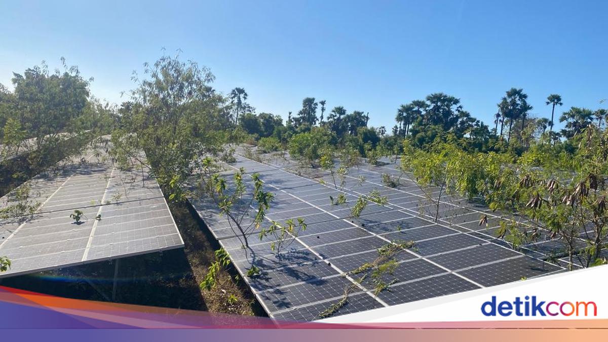 Prabowo Breaks Ground on Gilimanuk Solar Plant, While Karangasem's Kubu Solar Project Lies Abandoned