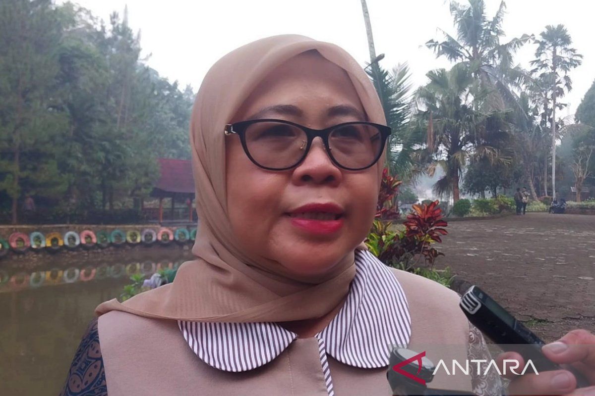 DPR member: Bisik Serayu Festival strengthens national character